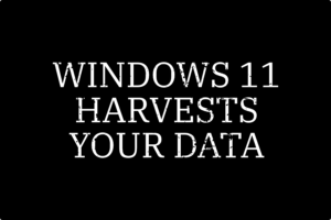 White text on black background, windows11 harvests your data